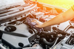 calenton motor